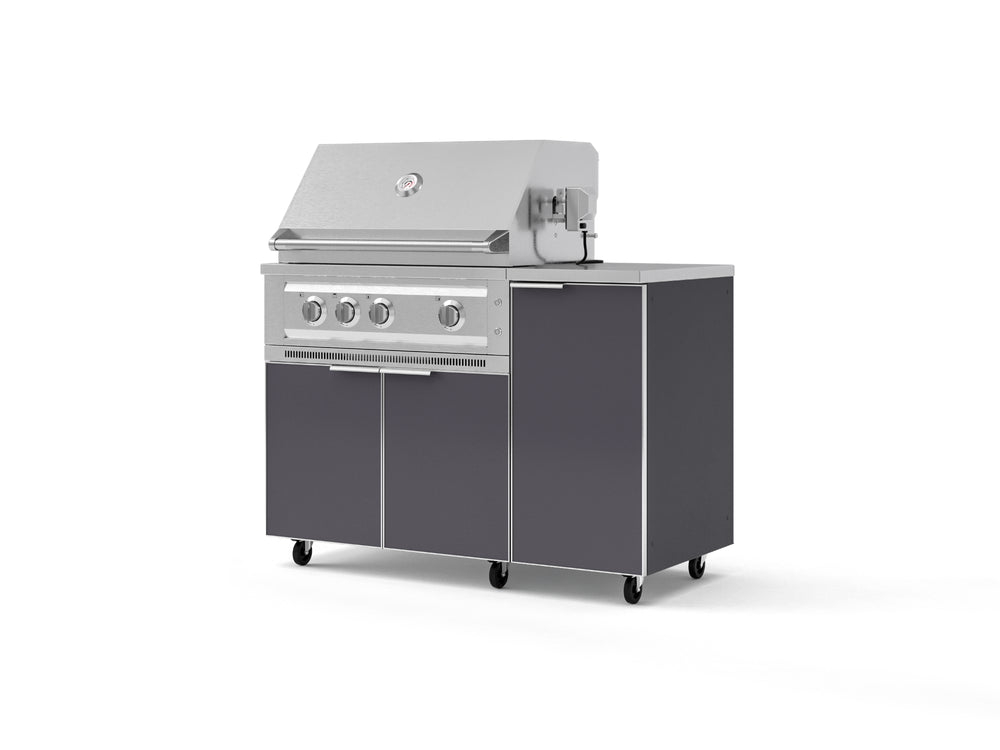 NewAge Outdoor Kitchens Outdoor Grill Island Aluminum 4-Piece Cabinet Set with Casters and 1 Door, Grill Cabinet, Platinum Grill, Countertop | 74821