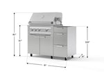 NewAge Outdoor Kitchens Outdoor Grill Island Stainless-Steel 3-Piece Cabinet Set with Casters and 3-Drawer, Grill Cabinet and Platinum Grill - (Liquid Propane) 