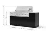 NewAge Outdoor Kitchens Outdoor Grill Island Aluminum 6-Piece Cabinet Set with 1-Door, Grill Cabinet, Platinum Grill, Dual Side Burner and Countertop 