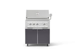 NewAge Outdoor Kitchens Aluminum 2-Piece Cabinet Set with Casters, Grill Cabinet and Platinum Grill-72939-Garage Giant 