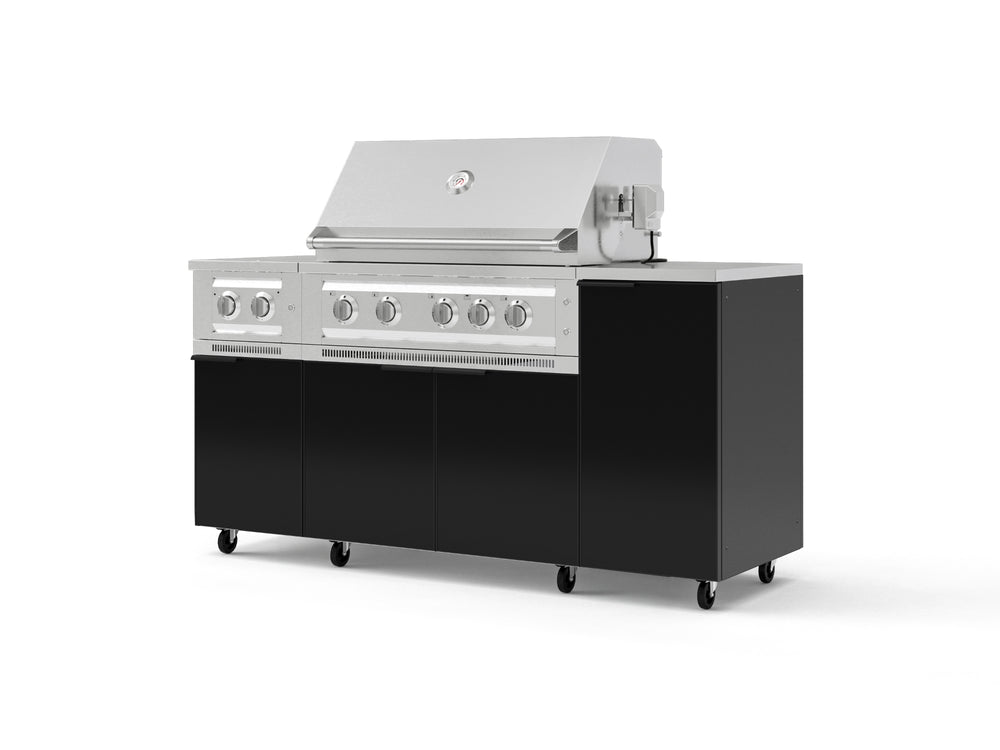 NewAge Outdoor Kitchens Outdoor Grill Island Aluminum 6-Piece Cabinet Set with Casters and 1-Door, Grill Cabinet, Platinum Grill, Dual Side Burner, Countertop | 77368