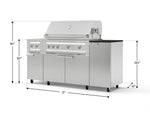 NewAge Outdoor Kitchens Outdoor Grill Island Stainless-Steel 6-Piece Cabinet Set with Casters and 1-Door, Grill Cabinet, Platinum Grill, Dual Side Burner and Dekton in Sirius Countertop - (Liquid Propane) 