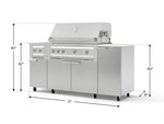 NewAge Outdoor Kitchens Outdoor Grill Island Stainless-Steel 6-Piece Cabinet Set with Casters and 1-Door, Grill Cabinet, Platinum Grill, Dual Side Burner and Dekton in Aeris Countertop - (Liquid Propane) 