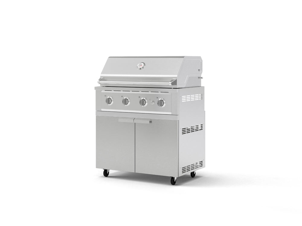 NewAge Outdoor Kitchens Stainless Steel 2-Piece Cabinet set with Casters, Grill Cabinet and Performance Grill-72946-Garage Giant