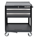 Dragonfire Tools Pro Series 2-Drawer Tool Cart (Grey) | DFT-TB-2-G 