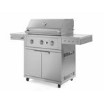 Newage Products Outdoor Kitchen Stainless Steel 2-Piece Grill Cart with Performance Grill-67108-33-Liquefied Propane (LP)-Garage Giant 