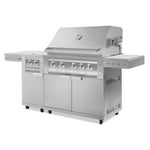 Newage Products Outdoor Kitchen Stainless Steel 2-Piece Grill Cart with Platinum Grill and Dual Side Burner-67116-36-Liquefied Propane (LP)-Garage Giant 