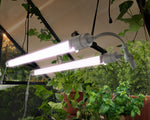 Palram-Canopia Brighton - LED Grow Light-HG1042-Garage Giant 