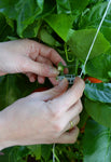 Palram-Canopia Greenhouse Trellising Kit-HG1024-Garage Giant 