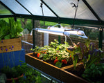 Palram-Canopia Brighton - LED Grow Light-HG1042-Garage Giant 