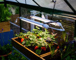 Palram-Canopia Brighton - LED Grow Light-HG1042-Garage Giant 