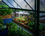 Palram-Canopia Brighton - LED Grow Light-HG1042-Garage Giant 