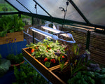 Palram-Canopia Brighton - LED Grow Light-HG1042-Garage Giant 