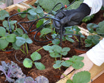 Palram-Canopia Drip Irrigation Kit-HG1023-Garage Giant 