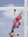 Palram-Canopia Hanging & Anchoring Kit for Prestige, Grand/Hobby Gardener and EcoGrow Greenhouses-HG1025-Garage Giant 