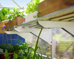 Palram-Canopia Heavy Duty Shelf Kit for Most Canopia Greenhouses-HG1019-Garage Giant 