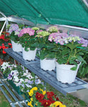 Palram-Canopia Shelf Kit for Most Canopia Greenhouses-HG1007-Garage Giant 