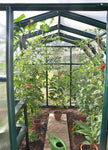 Palram-Canopia EcoGrow 6' x 8' Greenhouse - Green-HG7008-Garage Giant 