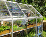 Palram-Canopia Hybrid 6' x 4' Greenhouse (Silver)-HG5504-Garage Giant 