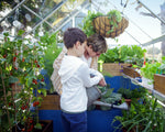 Palram-Canopia Hybrid 6' x 4' Greenhouse (Silver)-HG5504-Garage Giant 