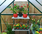 Palram-Canopia Hybrid 6' x 4' Greenhouse (Green)-HG5504G-Garage Giant 