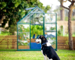 Palram-Canopia Hybrid 6' x 8' Greenhouse (Green)-HG5508G-1B-Garage Giant 
