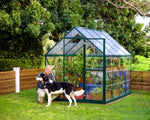 Palram-Canopia Hybrid 6' x 8' Greenhouse (Green)-HG5508G-1B-Garage Giant 