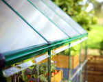 Palram-Canopia Hybrid 6' x 10' Greenhouse - Green-HG5510G-Garage Giant 