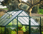 Palram-Canopia Hybrid 6' x 8' Greenhouse (Green)-HG5508G-1B-Garage Giant 