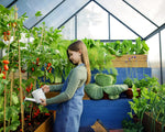 Palram-Canopia Mythos 6' x 8' Greenhouse - Gray-HG5008Y-Garage Giant 