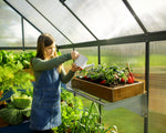 Palram-Canopia Mythos 6' x 8' Greenhouse - Gray-HG5008Y-Garage Giant 