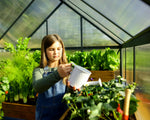 Palram-Canopia Mythos 6' x 10' Greenhouse - Gray-HG5010Y-Garage Giant 