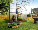 Palram-Canopia Mythos 6' x 8' Greenhouse - Gray-HG5008Y-Garage Giant 
