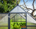 Palram-Canopia Mythos 6' x 4' Greenhouse - Gray-HG5005Y-Garage Giant 