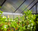 Palram-Canopia Mythos 6' x 10' Greenhouse - Gray-HG5010Y-Garage Giant 