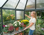 Palram-Canopia Oasis 8' x 7' Hexagonal Greenhouse 