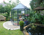 Palram-Canopia Oasis 8' x 7' Hexagonal Greenhouse 