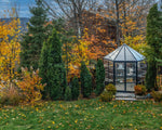 Palram-Canopia Oasis 8' x 7' Hexagonal Greenhouse 