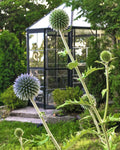 Palram-Canopia Oasis 8' x 7' Hexagonal Greenhouse 