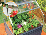 Palram-Canopia Plant Inn 4' x 4' Raised Garden Bed - Black/Clear-HG3320-Garage Giant 