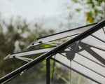 Palram-Canopia Triomphe Chalet 12' x 15' Greenhouse - Black-HG5500-Garage Giant 