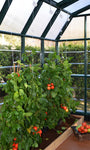 Palram-Canopia Greenhouse Trellising Kit-HG1024-Garage Giant 