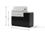 NewAge Outdoor Kitchens Outdoor Grill Island Aluminum 4-Piece Cabinet Set with 1 Door, Grill Cabinet, Platinum Grill and Countertop 