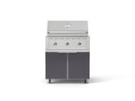 NewAge Outdoor Kitchens Aluminum 2-Piece Cabinet Set with Casters, Grill Cabinet and Performance Grill-72933-Garage Giant 