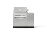 NewAge Outdoor Kitchens Outdoor Grill Island Stainless-Steel 4-Piece Cabinet Set with 1 Door, Grill Cabinet, Platinum Grill and Countertop 