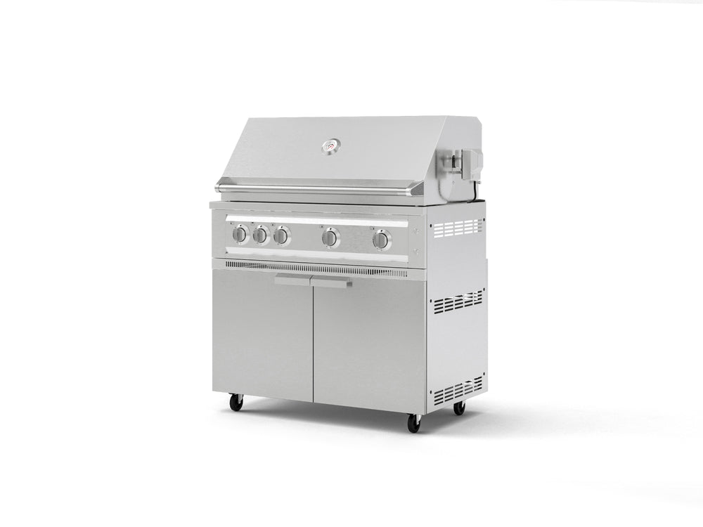 NewAge Outdoor Kitchens Stainless Steel 2-Piece Cabinet set with Casters Grill Cabinet and Platinum Grill-72953-Garage Giant