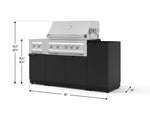 NewAge Outdoor Kitchens Outdoor Grill Island Stainless-Steel 5-Piece Cabinet Set with 1-Door, Grill Cabinet, Dual Side Burner and Platinum Grill - (Natural Gas) 