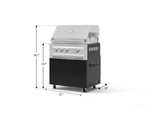 NewAge Outdoor Kitchens Aluminum 2-Piece Cabinet Set with Casters, Grill Cabinet and Platinum Grill-72915-Garage Giant 