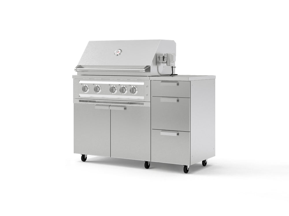 NewAge Outdoor Kitchens Outdoor Grill Island Stainless-Steel 4-Piece Cabinet Set with Casters and 3-Drawer, Grill Cabinet, Platinum Grill, Countertop-74846-Garage Giant
