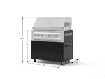 NewAge Outdoor Kitchens Aluminum 2-Piece Cabinet Set with Casters, Grill Cabinet and Platinum Grill-72917-Garage Giant 